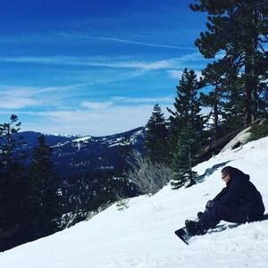 Meet your Posher, Pedro